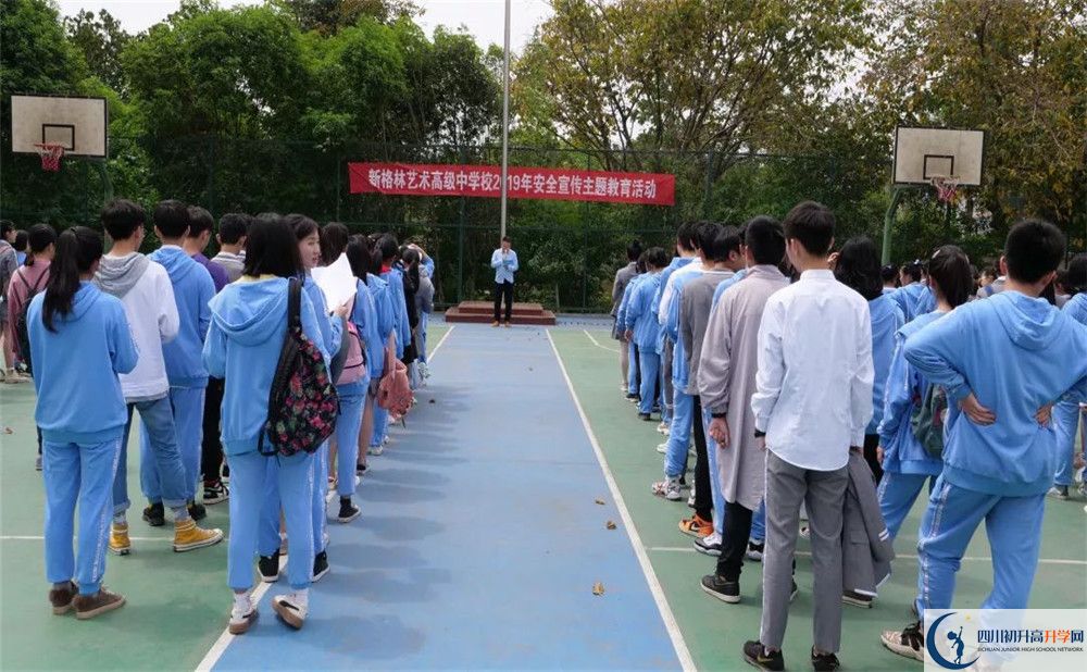 新格林藝術高級中學校2020年高考人數(shù)是多少？