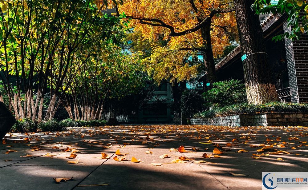 北京師范大學成都實驗中學初升高招生政策是什么？