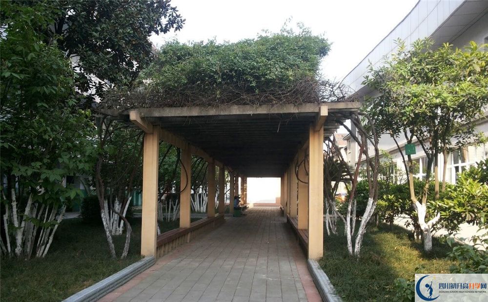 成都通錦中學(xué)地址在哪里？