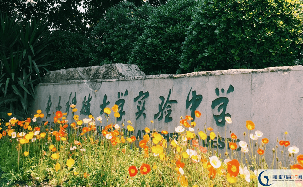 科大實(shí)驗(yàn)2020年好嗎？