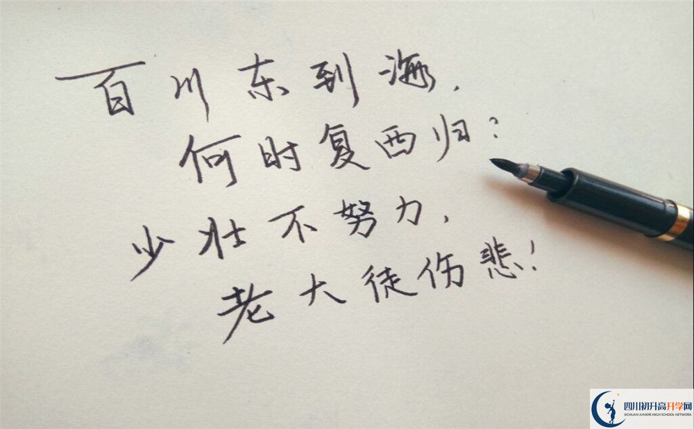 2020年成都籍田中學收分是多少？