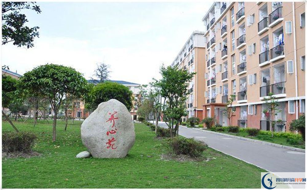 八一聚源高級(jí)中學(xué)2020年怎么樣？