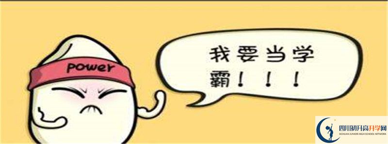 成都樹(shù)德中學(xué)2021清華北大錄取學(xué)生多少？